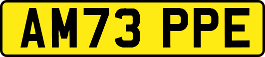 AM73PPE