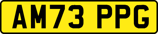 AM73PPG