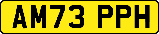 AM73PPH