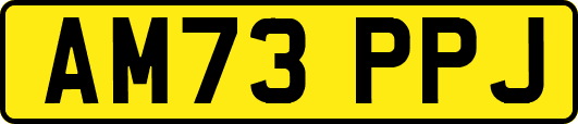 AM73PPJ