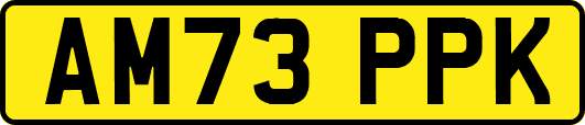 AM73PPK