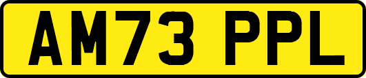 AM73PPL