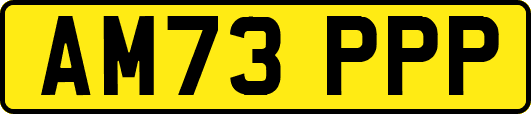 AM73PPP