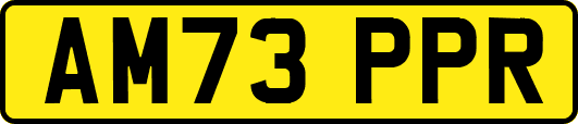 AM73PPR