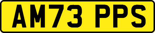 AM73PPS