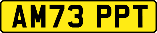 AM73PPT