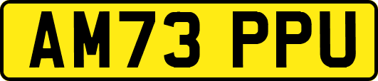 AM73PPU