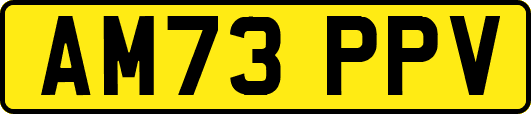 AM73PPV