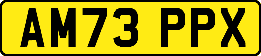 AM73PPX