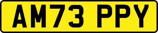 AM73PPY