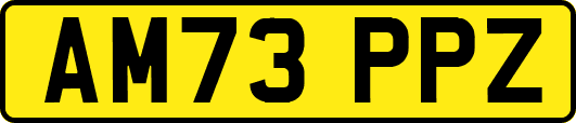 AM73PPZ