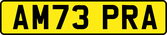 AM73PRA