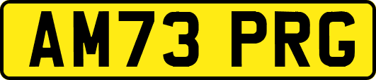 AM73PRG