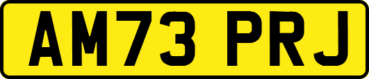 AM73PRJ