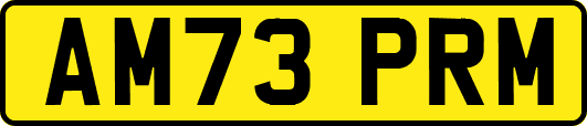 AM73PRM