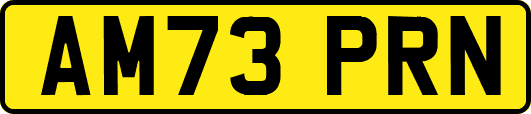 AM73PRN