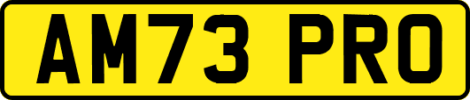 AM73PRO