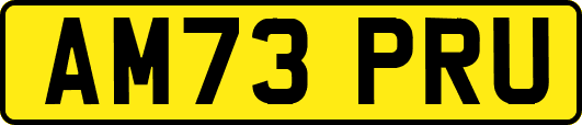 AM73PRU