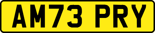 AM73PRY