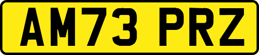 AM73PRZ