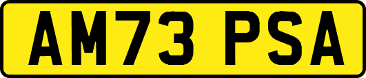 AM73PSA