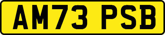 AM73PSB