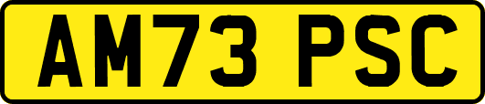 AM73PSC
