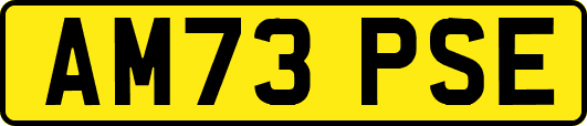 AM73PSE