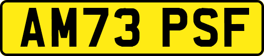 AM73PSF