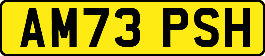 AM73PSH