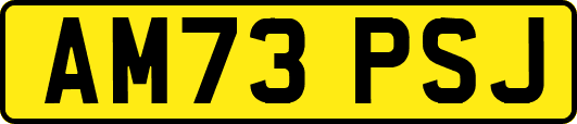 AM73PSJ