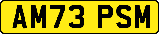 AM73PSM