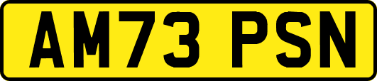 AM73PSN