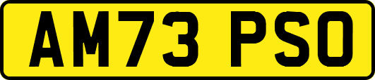 AM73PSO
