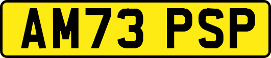 AM73PSP