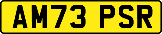 AM73PSR