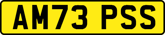 AM73PSS
