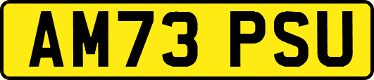 AM73PSU