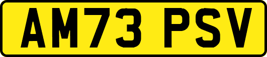 AM73PSV