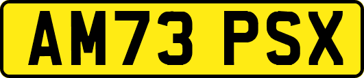 AM73PSX