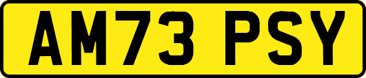 AM73PSY