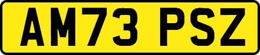AM73PSZ