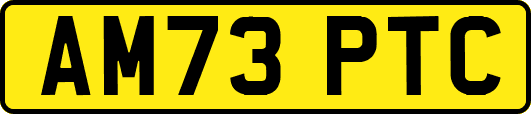 AM73PTC