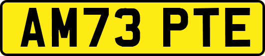 AM73PTE