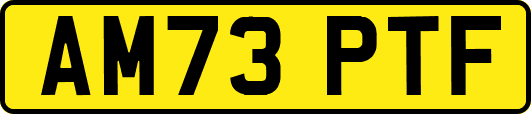 AM73PTF