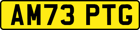 AM73PTG