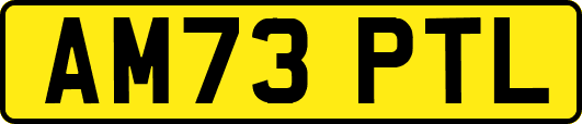 AM73PTL