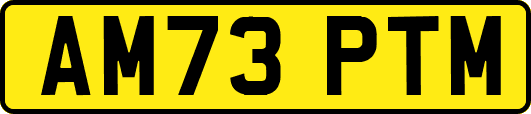 AM73PTM