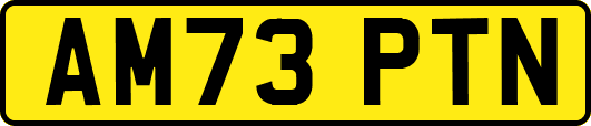 AM73PTN