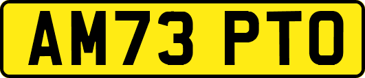 AM73PTO
